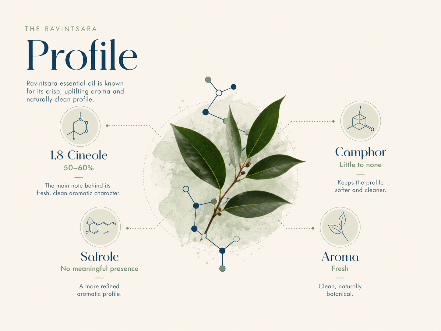Ravintsara aromatic profile with 1,8-cineole camphor safrole and aroma