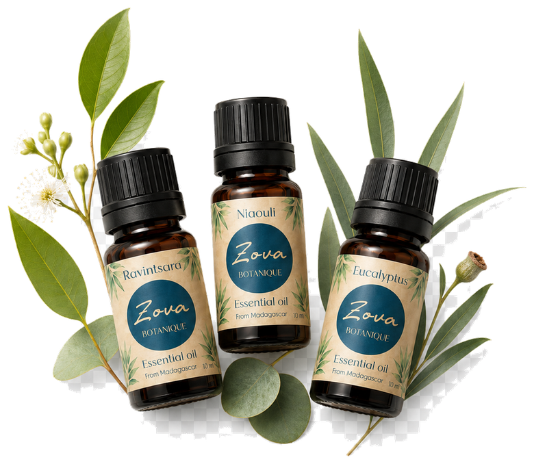 Zova daily balance pack combination with three essential oils