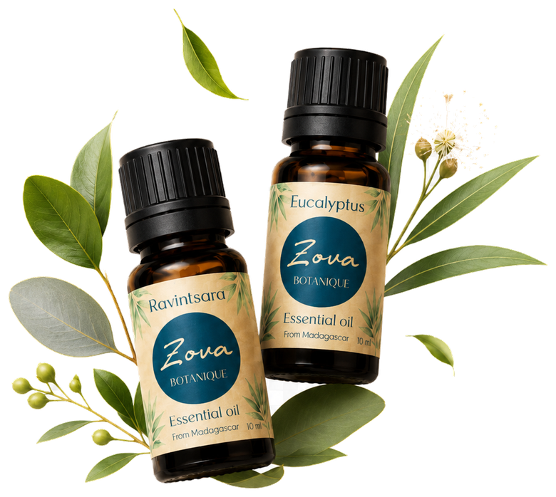 Zova fresh starter pack combination with Ravintsara and Eucalyptus