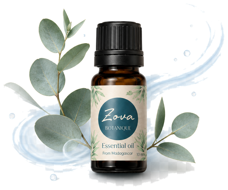 Eucalyptus essential oil with cool airy botanical elements